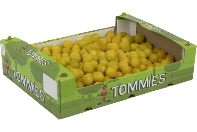 Snacktomaat geel kist 4 kilogram